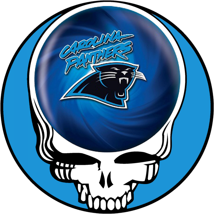 Carolina Panthers skull logo fabric transfer